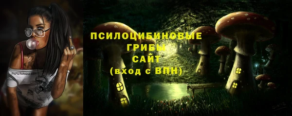 ешки Белоозёрский