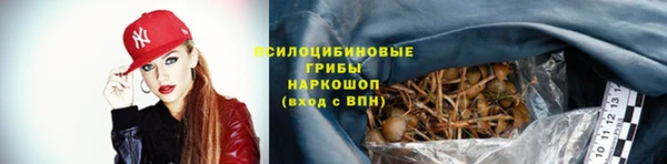 ешки Белоозёрский