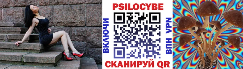 Псилоцибиновые грибы Psilocybe  МЕГА вход  Мариинский Посад  купить закладку 
